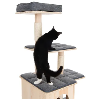 Kratzbaum aus Holz mit drei Ebenen, grauen Polstern und Sisal umwickelten Säulen. Schwarze Katze erkundet die mittlere Ebene.