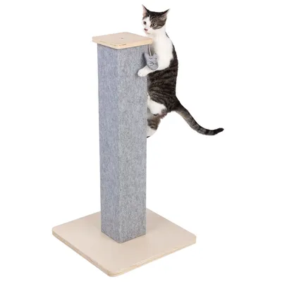 Kratzsäule mit Filzbezug und Holzsockel, Katze klettert daran hoch. Spielzeug in Form eines Katzengesichts hängt an der Säule.