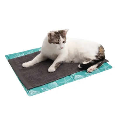 Valkoinen kissa, jossa on ruskeita laikkuja, makaa harmaalla matolla turkoosilla taustalla ja simpukkakuviolla.