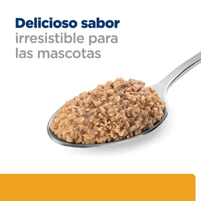 Texto: Delicioso sabor irresistible para las mascotas. Imagen de una cuchara con comida húmeda para mascotas.