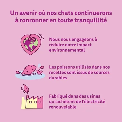 Un avenir où nos chats continuerons à ronronner en toute tranquillité. Engagement à réduire l’impact environnemental, poissons issus de sources durables, électricité renouvelable.