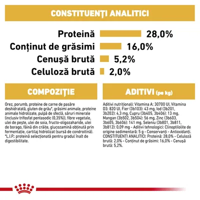 Royal Canin Chihuahua Adult