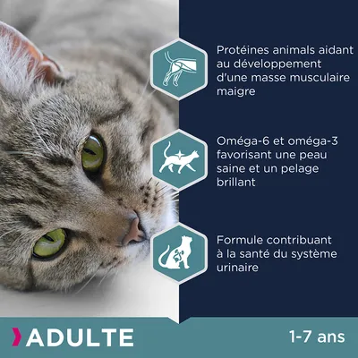 ADULTE 1–7 ans. Protéines animales aidant au développement d’une masse musculaire maigre, oméga-6 et oméga-3 pour une peau saine et pelage brillant, formule pour la santé urinaire.