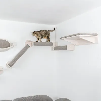 Wandmontiertes Kletter- und Kratzsystem aus Holz mit gepolsterten Liegeflächen und Sisal-Kratzflächen. Katze demonstriert Nutzung des Systems.