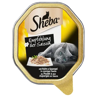 Sheba Empfelung der Saison -kissanruoka. Teksti: mit Huhn & Spargel in cremiger Sauce, au Poulet & aux Asperges en Sauce. Kuvassa harmaa kissa ja annos ruokaa.