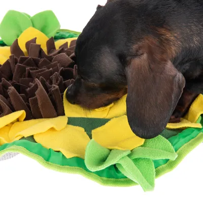 Hund snuser til en legemåtte af filt i solsikkeform med gule, brune og grønne stofelementer.