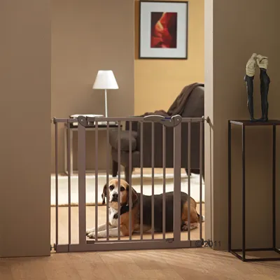 Hond achter metalen veiligheidshek in deuropening, hek met verticale spijlen en sluitmechanisme zichtbaar. Interieur met bank, lamp en kunstobject op achtergrond.
