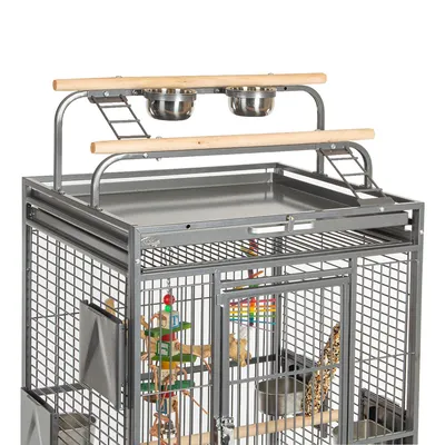 Cage pour oiseaux en métal avec perchoirs en bois, deux échelles, deux gamelles en acier inoxydable sur le dessus et accessoires suspendus à l’intérieur.