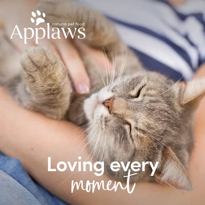 Applaws natural pet food. Loving every moment. (teksti englanniksi kuvassa)