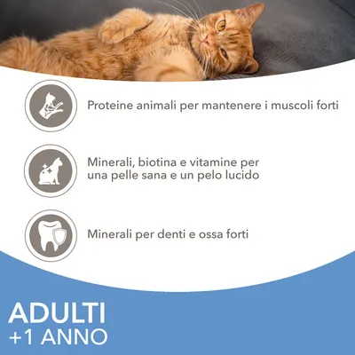 Proteine animali per muscoli forti, minerali, biotina e vitamine per pelle sana e pelo lucido, minerali per denti e ossa forti. Adulti +1 anno.