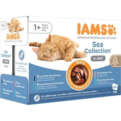 IAMS Advanced Nutrition Adult i gelè eller saus 48 x 85 g