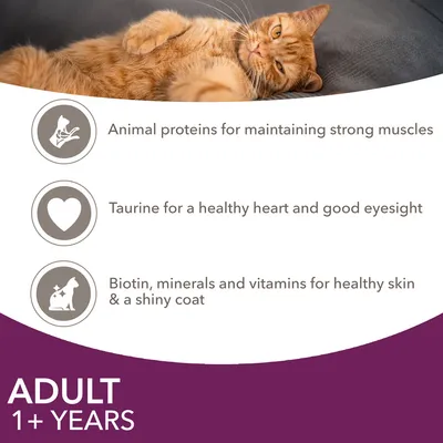 Animal proteins for strong muscles, taurine for heart and eyesight, biotin, minerals and vitamins for healthy skin and shiny coat. Suitable for adults aged 1 year and over.