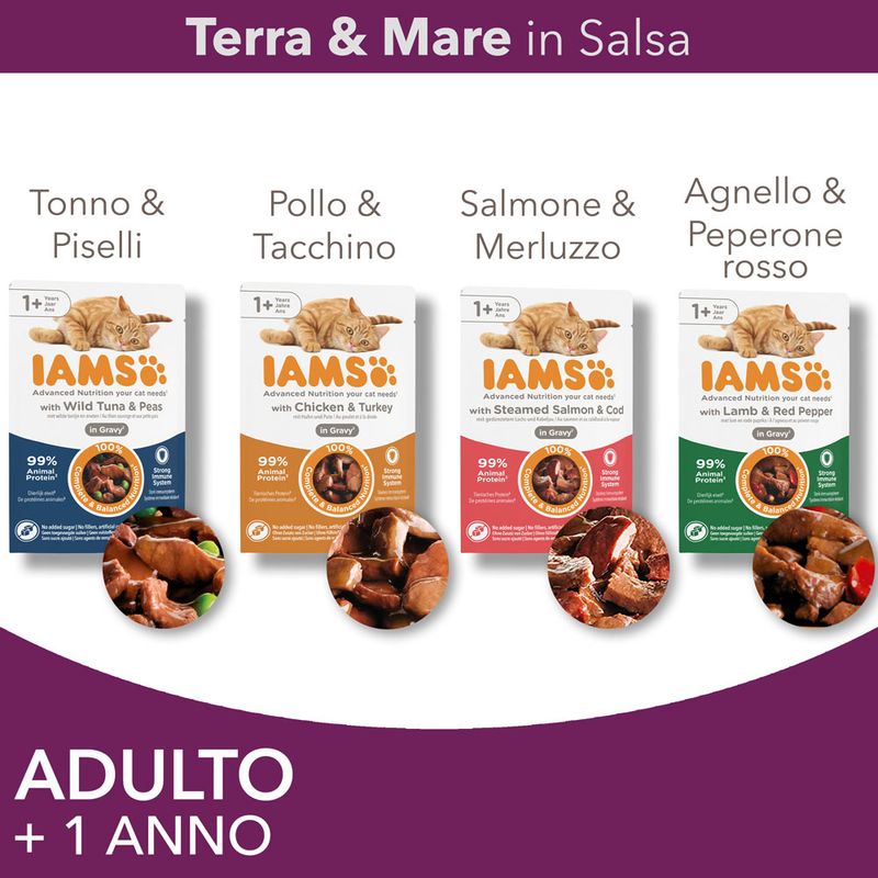 IAMS Delights Pacco misto 48 x 85 g Alimento umido per gatti