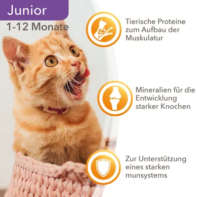 Junior Katzenfutter für 1-12 Monate: Tierische Proteine zum Aufbau der Muskulatur, Mineralien für starke Knochen, Unterstützung eines starken Immunsystems.