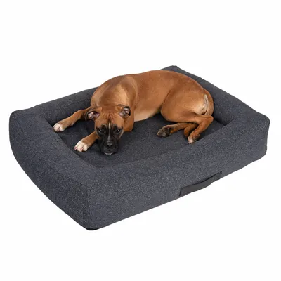 Brown dog lying on a grey rectangular dog bed with padded edges and carrying handle.
