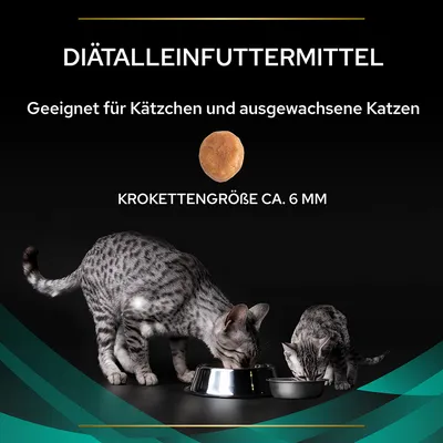Diätalleinfuttermittel, geeignet für Kätzchen und ausgewachsene Katzen. Krokettengrösse ca. 6 mm. Zwei graue Katzen fressen aus Futternäpfen.