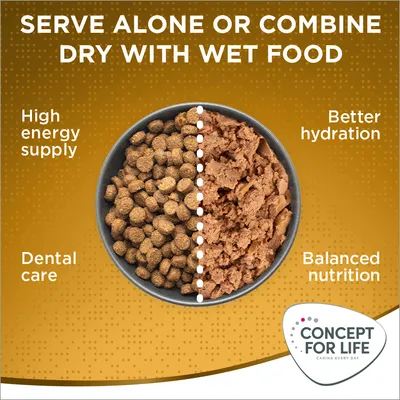 Immagine con ciotola divisa tra crocchette e cibo umido, testo in inglese: serve alone or combine dry with wet food, high energy supply, dental care, better hydration, balanced nutrition. Concept for Life.