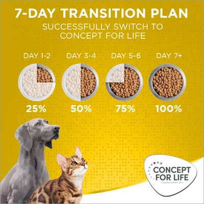 Piano di transizione 7 giorni: passaggio graduale a Concept for Life con ciotole che mostrano 25%, 50%, 75% e 100% crocchette; testo in inglese, cane e gatto visibili.