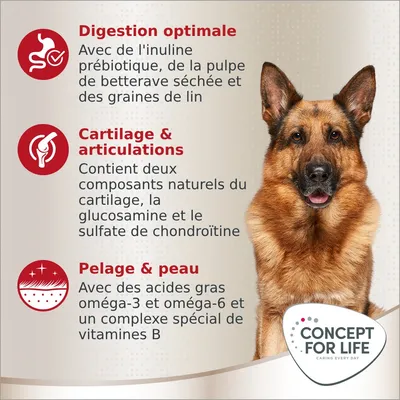 Digestion optimale, cartilage & articulations, pelage & peau : inuline prébiotique, glucosamine, oméga-3 et 6, vitamines B. Marque Concept for Life visible.