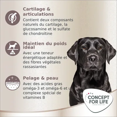 Cartilage & articulations : glucosamine et sulfate de chondroïtine. Maintien du poids idéal : fibres végétales rassasiantes. Pelage & peau : oméga-3, oméga-6, vitamines B. Concept for Life.