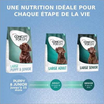 Concept for Life Large Junior pour chien