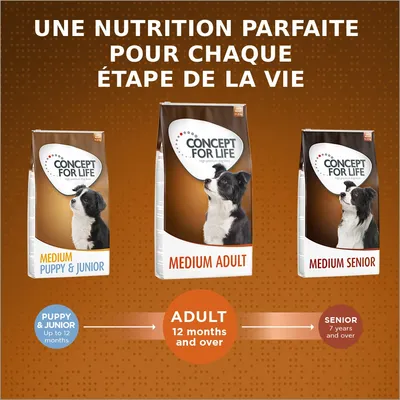 Concept for Life Medium Adult pour chien