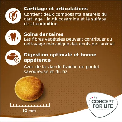 Concept for Life Medium Senior pour chien