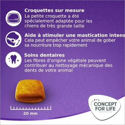 Concept for Life X-Large Adult pour chien