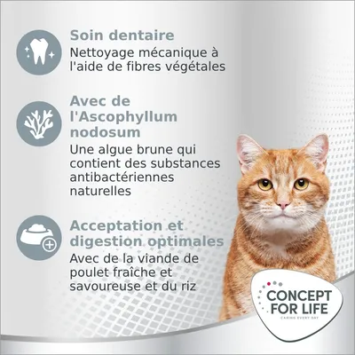 Soin dentaire : nettoyage mécanique à l'aide de fibres végétales. Ascophyllum nodosum : algue brune aux substances antibactériennes. Acceptation et digestion optimales avec poulet et riz. Concept for Life.