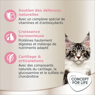 Soutien des défenses naturelles, croissance harmonieuse, cartilage & articulations. Concept for Life. Texte en fr_BE sur les bénéfices et ingrédients clés pour chats.