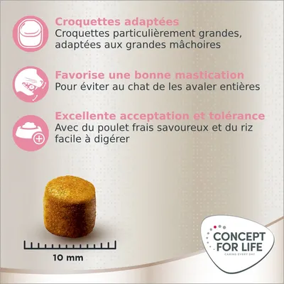 Croquettes adaptées, favorisent la mastication, excellente acceptation et tolérance. Croquette de 10 mm. Concept for Life. Avec poulet frais et riz facile à digérer.