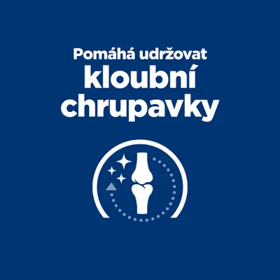 Pomáha udržiavať kĺbové chrupavky. Symbol kĺbu s efektom lesku.