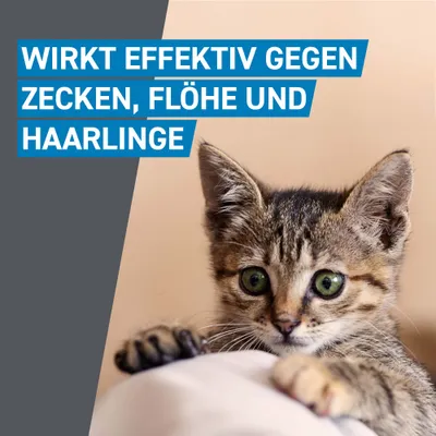 Wirkt effektiv gegen Zecken, Flöhe und Haarlinge.