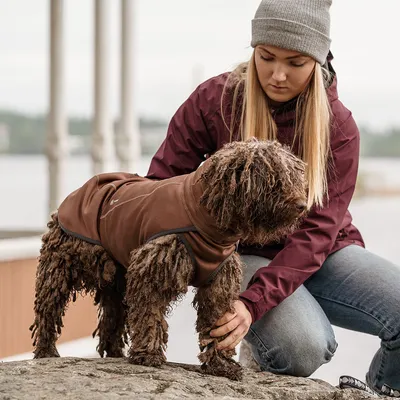 Pies w brązowym ubraniu dla psa na zewnątrz, obok osoby w bordowej kurtce i szarej czapce. Widoczny materiał ubrania: tkanina.