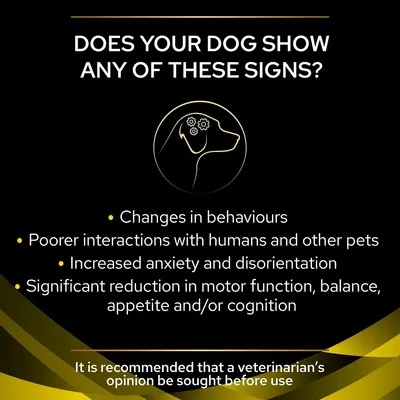 Signs listed: changes in behaviours, poorer interactions with humans and other pets, increased anxiety and disorientation, reduced motor function, balance, appetite or cognition. Vet advice recommended.