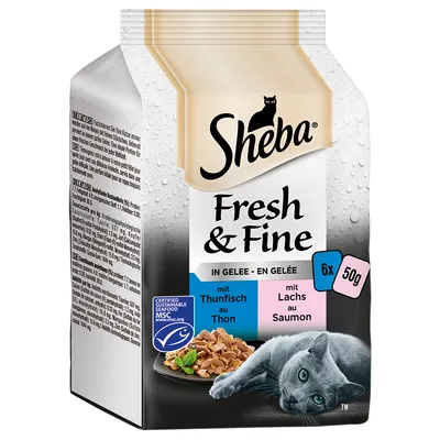 Sheba Fresh & Fine kissan märkäruoka hyytelössä, 6 x 50 g annospakkausta, tonnikala ja lohi. MSC-sertifioitu kala. Kuvassa harmaa kissa ja ruoka-annos.