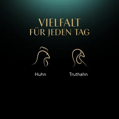 Texte en allemand : VIELFALT FÜR JEDEN TAG. Illustrations et mots : Huhn, Truthahn.