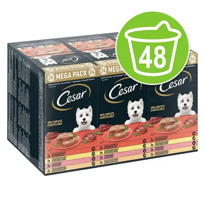 Mega pakiranje Cesar pladnji 48 x 150 g