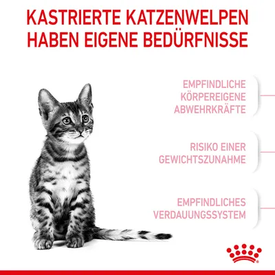 Kastrierte Katzenwelpen haben eigene Bedürfnisse: empfindliche körpereigene Abwehrkräfte, Risiko einer Gewichtszunahme, empfindliches Verdauungssystem.