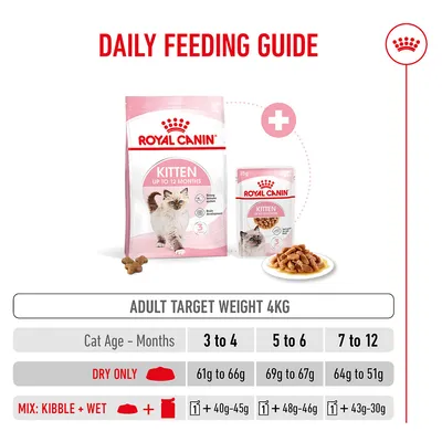 Feeding recommendation for Royal Canin Kitten up to 12 months, target weight 4 kg: dry food or a combination of dry and wet food, quantities specified according to age in months. Feeding recommendation for Royal Canin Kitten up to 12 months, target weight 4 kg: dry food or a combination of dry and wet food, quantities specified according to age in months.