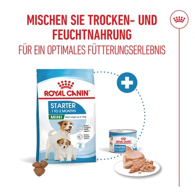 Royal Canin Mini Starter Mother & Babydog