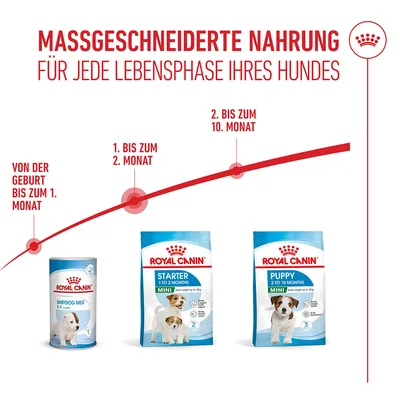 Royal Canin Mini Starter Mother & Babydog