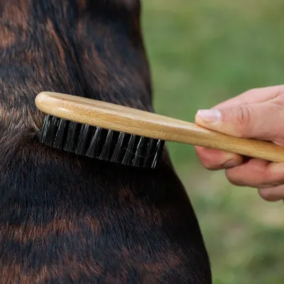 Mâna ține o perie cu mâner din lemn și peri negri, care alunecă peste blana unui animal.