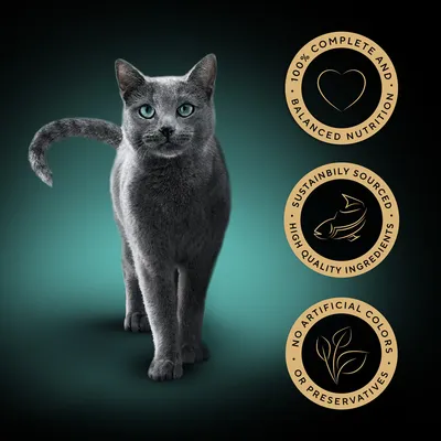 100% COMPLETE AND BALANCED NUTRITION, SUSTAINBLY SOURCED HIGH QUALITY INGREDIENTS, NO ARTIFICIAL COLORS OR PRESERVATIVES – text v angličtině na třech kruhových odznacích vedle kočky.