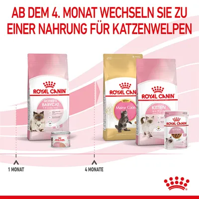 Royal Canin рекомендации по кормлению: с 4 месяца переходите с Mother & Babycat (1-4 месяца) на корм для котят, например, Maine Coon или Kitten до 12 месяцев.