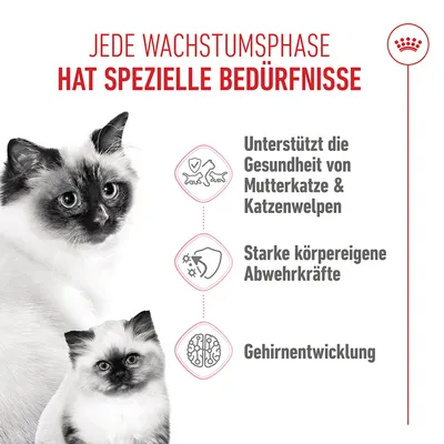 Royal Canin Mother & Babycat pour chatte et chaton