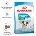 Royal Canin Mini Puppy