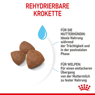 Texte en allemand : REHYDRIERBARE KROKETTE. Für die Mutterhündin: Ideale Nahrung während der Trächtigkeit und in der postnatalen Phase. Für Welpen: Für einen einfacheren Übergang von der Muttermilch zu fester Nahrung.