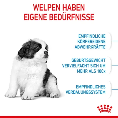 Welpen haben eigene Bedürfnisse: empfindliche körpereigene Abwehrkräfte, Geburtsgewicht vervielfacht sich um mehr als 100x, empfindliches Verdauungssystem.