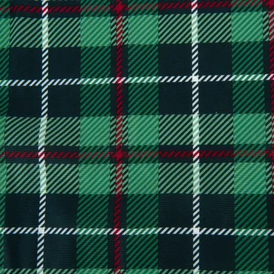 Wzór w kratę w zieleni, czerwieni i czerni z ukośnymi paskami. Projekt tkaniny na produkty lub akcesoria.